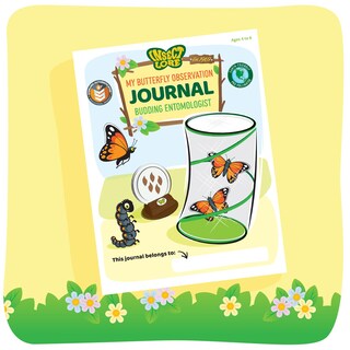 Foto 3 | Foto 3 | Kit De Jardín De Mariposas Insect Lore Con 10 Orugas Vivas - Venta Internacional.