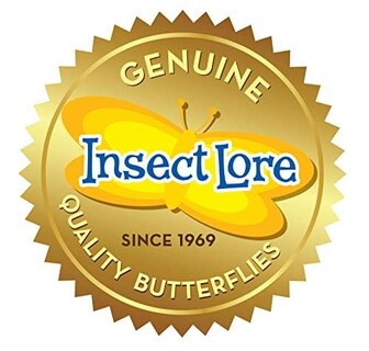 Foto 7 | Foto 7 | Kit De Jardín De Mariposas Insect Lore Con 10 Orugas Vivas - Venta Internacional.