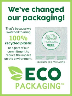 Foto 5 | Foto 5 | Sudadera Fruit Of The Loom Eversoft Fleece Para Hombre Blanca S - Venta Internacional.