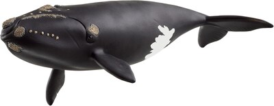 Foto 1 | Foto 1 | Figura Schleich Wild Life 7.5 Pulgadas Ballena Franca - Venta Internacional