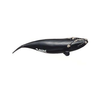 Foto 5 | Foto 5 | Figura Schleich Wild Life 7.5 Pulgadas Ballena Franca - Venta Internacional