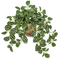 Planta Artificial Briful Con Forma De Sandía Sintética 45 Cm Con Maceta - Venta Internacional.