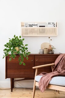 Foto 5 | Foto 5 | Planta Artificial Briful Con Forma De Sandía Sintética 45 Cm Con Maceta - Venta Internacional.