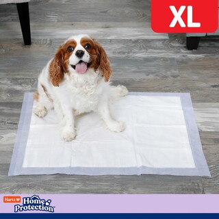 Foto 5 | Foto 5 | Almohadillas Para Perros Hartz Home Protection Con Aroma A Lavanda Xl 60 Unidades - Venta Internacional.