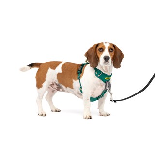 Foto 1 | Foto 1 | Arnés Para Perros Petsafe Easy Walk Comfort No-pull Green S/m - Venta Internacional.