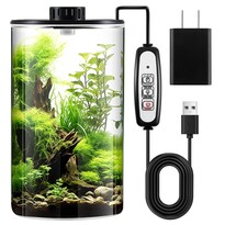 Kit De Terrario De Vidrio Para Plantas Maxdot Con Luz De 25 X 15 Cm - Venta Internacional.