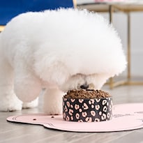 Set De Comederos Para Mascotas Juicy Couture ''dame Golosinas'' Estampado Leopardo Negro - Venta Internacional.