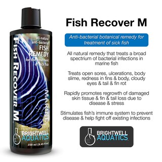 Foto 2 | Foto 2 | Brightwell Aquatics Fish Recover M Remedio Botánico 1l - Venta Internacional.