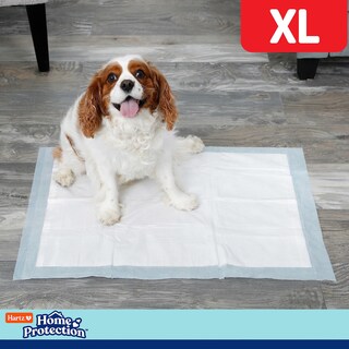 Foto 5 | Foto 5 | Almohadillas Para Perros Hartz Home Protection Mountain Fresh Scented Xl 30 - Venta Internacional.