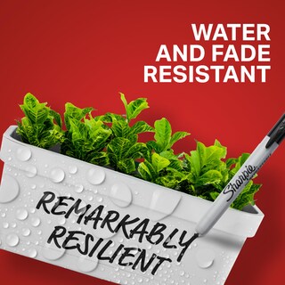 Foto 5 | Foto 5 | Juego De Rotuladores Sharpie Retráctiles Permanentes Con Punta Fina Color Negro 12 - Venta Internacional.