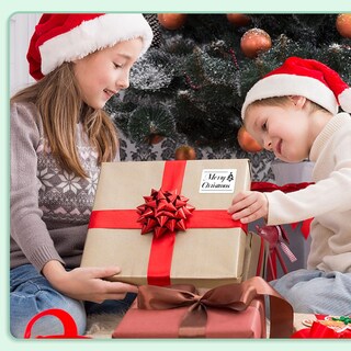 Foto 4 | Foto 4 | Etiquetas Térmicas Phomemo M110 Original De 40 X 30 Mm Paquete De 6 - Venta Internacional.