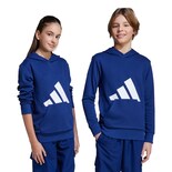 Sudadera Con Gorro Essentials Niños Adidas Azul Niños