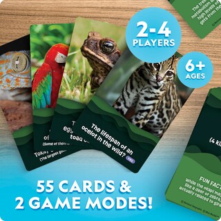 Foto 2 | Foto 2 | Juego De Cartas De Trivia National Geographic Rainforest Animals - Venta Internacional.