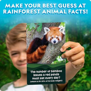 Foto 3 | Foto 3 | Juego De Cartas De Trivia National Geographic Rainforest Animals - Venta Internacional.