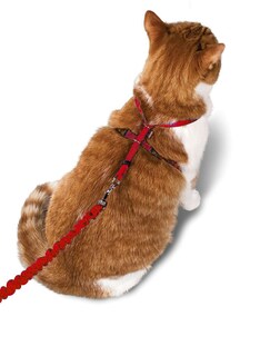 Foto 6 | Foto 6 | Arnés Y Correa Elástica Para Gatos Petsafe Come With Me Kitty - Venta Internacional.