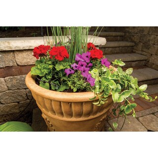 Foto 7 | Foto 7 | Kit De Riego Por Goteo Rain Bird Lnddripkit Para Paisajismo/jardín - Venta Internacional.