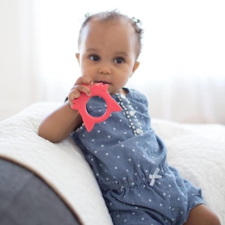 Foto 7 | Foto 7 | Mordedera Zorro Rojo