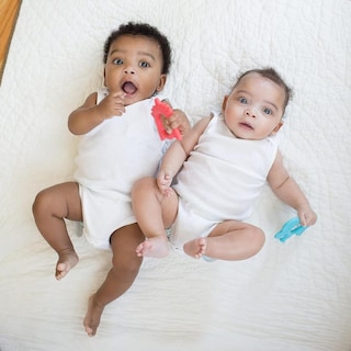 Foto 8 | Foto 8 | Mordedera Zorro Rojo