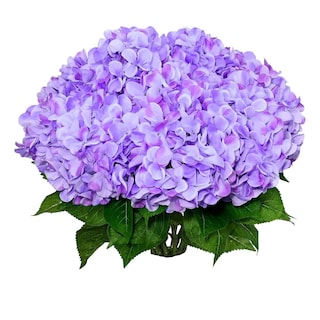Foto 1 | Foto 1 | 10 Flores Artificiales De Hortensia Eo Safe Imports Esi-23176 Morado
