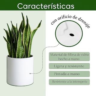 Foto 3 | Foto 3 | Maceta Elly Cilindro De Fibra De Vidrio Color Blanco