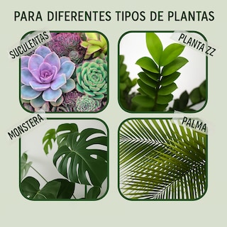 Foto 5 | Foto 5 | Maceta Elly Cilindro De Fibra De Vidrio Color Blanco