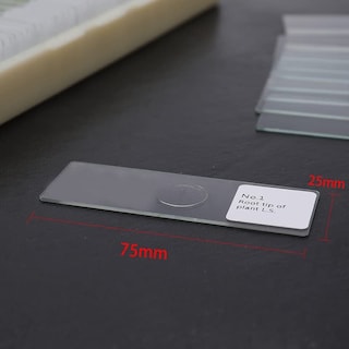 Foto 2 | Foto 2 | Set 100 Portaobjetos de Vidrio para Microscopio con Estuche para Estudiantes y Laboratorio - Venta Internacional