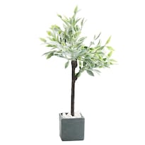 Decoración De Bonsáis Con Plantas En Maceta En Miniatura Para Casas De Muñecas - Venta Internacional.