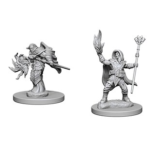 Foto 1 | Foto 1 | Miniaturas Mazmorras Y Dragones El Mago Elfo De D&d Nolzur X2 - Venta Internacional.