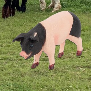 Foto 5 | Foto 5 | Modelo Animal Farfi Realista Educativo De Pvc País - Venta Internacional.