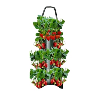 Foto 1 | Foto 1 | Bolsas De Cultivo Colgantes Shzons Para Tomate Chile Hierbas Y Fresas - Venta Internacional.