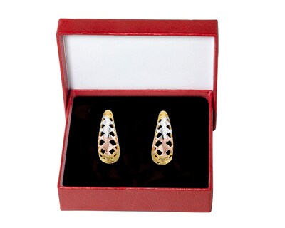 Foto 3 | Foto 3 | Arete Huggie Filigrana 3 Colores Chapa de Oro 18k Horoz Ch788