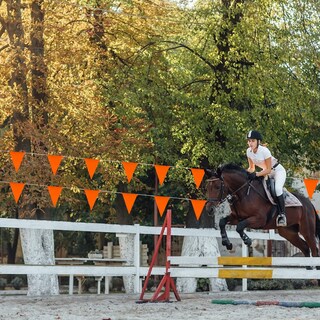 Foto 7 | Foto 7 | Cadena De Banderines Xuwaidsgn Reflectante De Seguridad De 98 Pies - Venta Internacional.