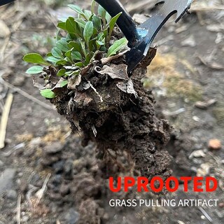 Foto 4 | Foto 4 | Herramienta De Deshierbe Dritnow Para Arrancar Raíces Con Mango Largo De 30 Cm - Venta Internacional.