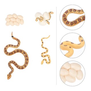 Foto 3 | Foto 3 | Juguete Educativo De 4 Piezas Modelo De Crecimiento De Serpiente De Cascabel Para Niños - Venta Internacional.