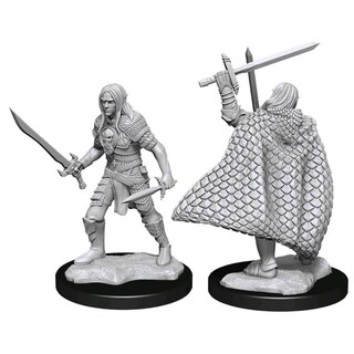 Foto 1 | Foto 1 | Miniatura Wizkids Dungeons & Dragons El Maravilloso Luchador Elfo De Nolzur (masculino) - Venta Internacional.