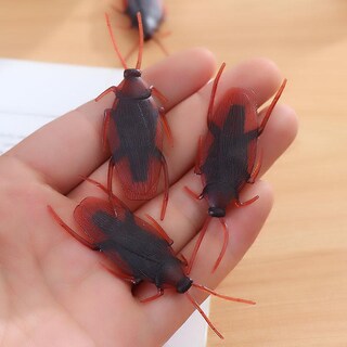 Foto 4 | Foto 4 | Juguetes Simulados Para Suplantar Cucarachas 10 Unidades Para El Día De Los Inocentes - Venta Internacional.