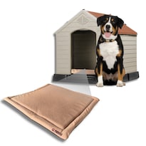 Casa Y Colchoneta Q Perrón Para Raza Mediana