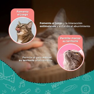 Foto 4 | Foto 4 | Rascador Para Gato Belug Rascador Recto 43 Cm Color Bordó