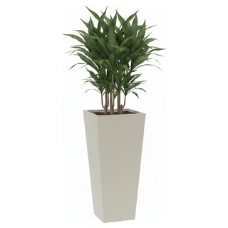 Foto 1 | Foto 1 | Maceta Cuadrada Alta Elly Decor 28 x 61 Cm Color Blanco