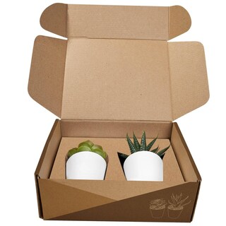 Foto 4 | Foto 4 | Paquete Con 40 Piezas De Mini Macetas Decorativas Promocional Merchandising