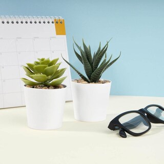 Foto 7 | Foto 7 | Paquete Con 40 Piezas De Mini Macetas Decorativas Promocional Merchandising