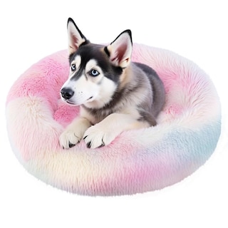 Foto 1 | Foto 1 | Cama De Donut Spring Blossoms Arcoiris Antideslizante Y Mullida Para Perro De 80 Cm