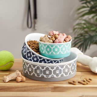 Foto 6 | Foto 6 | Tazón De Cerámica Dii Bone Dry Aqua Con Borde Antideslizante Para Mascotas