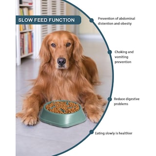 Foto 3 | Foto 3 | Plato Antideslizante Weeksun Comida Lenta Gris Para Perro Pequeño Y Mediano