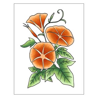 Foto 4 | Foto 4 | Marcadores Copic Sketch Fusion 4 A Base De Alcohol Juego De 3 Piezas