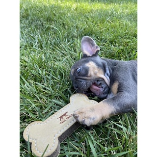 Foto 2 | Foto 2 | Hueso De Cuero Natural Tall Tails 15 24 Cm Para Perro