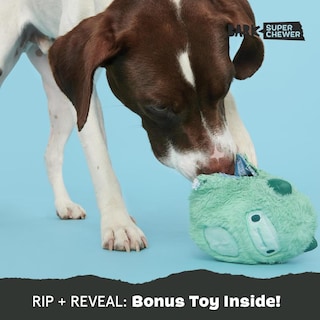 Foto 5 | Foto 5 | Juguete Bark Super Chewer Aurora Beast Para Perro Grande