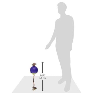 Foto 2 | Foto 2 | Juguete Para Perro Jolly Pets Azul Cuerda Con Pelota 6 Pulgadas Mediano