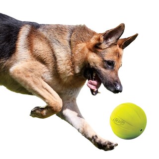 Foto 2 | Foto 2 | Pelota De Goma Nerf Verde Con Chirriador Ligera Y Resistente Al Agua Para Perro De Razas Medianas Y