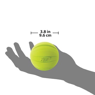 Foto 3 | Foto 3 | Pelota De Goma Nerf Verde Con Chirriador Ligera Y Resistente Al Agua Para Perro De Razas Medianas Y